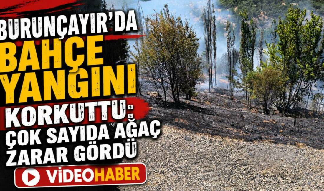 Adıyaman'ın Besni ilçesine bağlı Burunçayır Köyü'nde çıkan bahçe yangını, ekiplerin