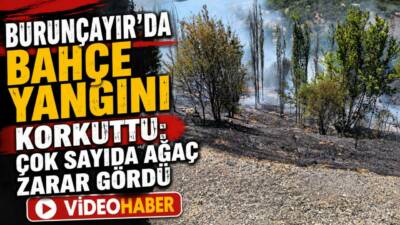 Adıyaman'ın Besni ilçesine bağlı Burunçayır Köyü'nde çıkan bahçe yangını, ekiplerin