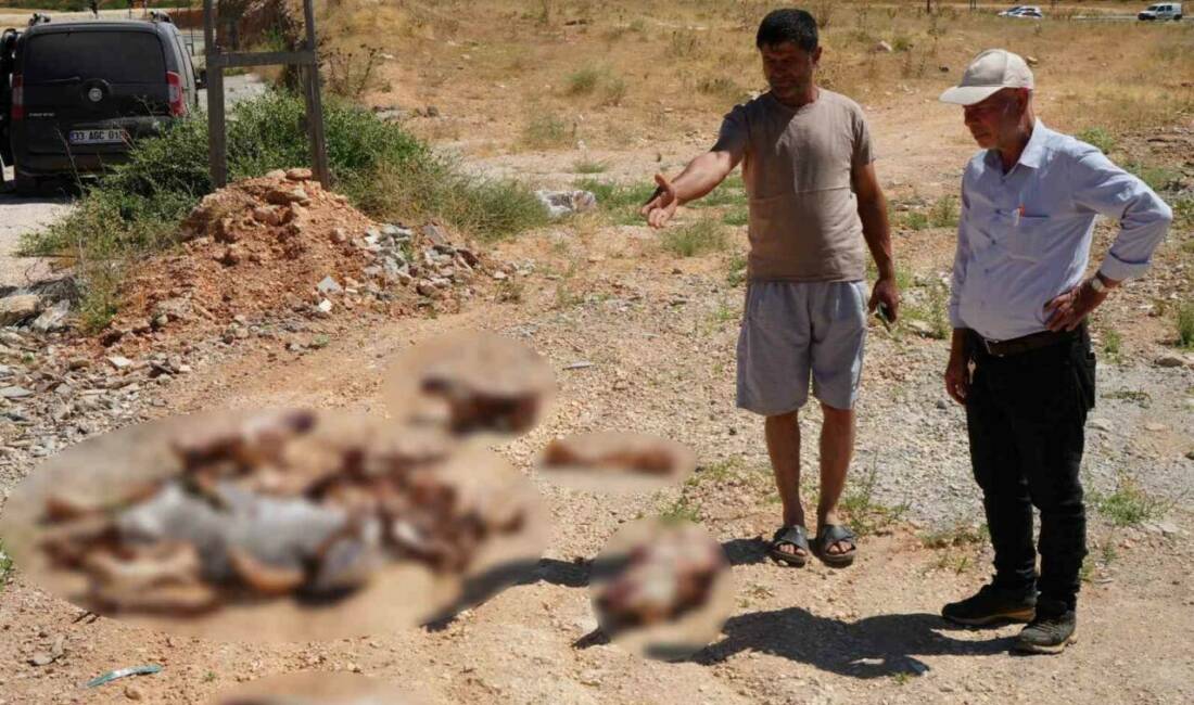 Gaziantep’te kimliği belirsiz kişi ya da kişiler tarafından yol kenarına