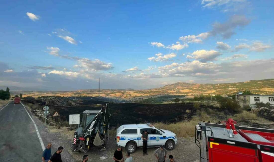 Diyarbakır’ın Lice ilçesinde zirai ve ormanlık alanda çıkan yangın, yaklaşık