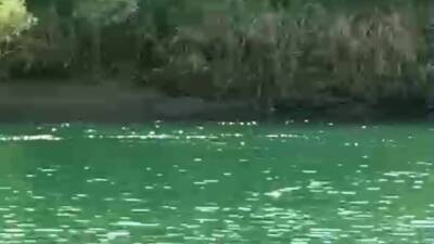Şırnak’ın Güçlükonak yolu üzerindeki Dicle Nehri’nde pikniğe giden bir aileden