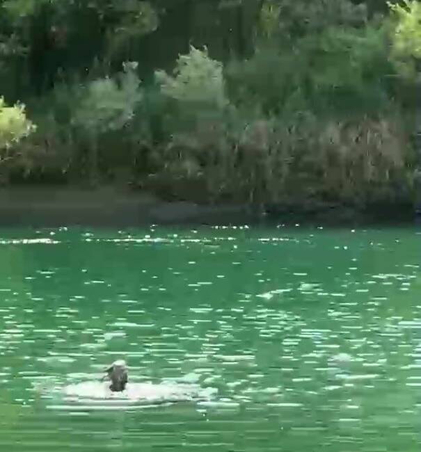 Şırnak’ın Güçlükonak yolu üzerindeki Dicle Nehri’nde pikniğe giden bir aileden