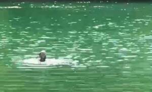 Şırnak’ın Güçlükonak yolu üzerindeki Dicle Nehri’nde pikniğe giden bir aileden