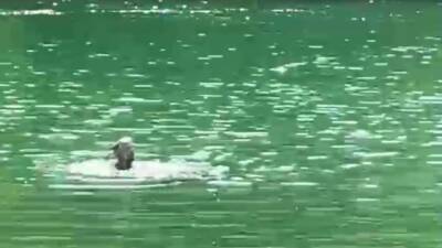 Şırnak’ın Güçlükonak yolu üzerindeki Dicle Nehri’nde pikniğe giden bir aileden