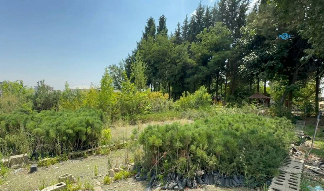 Adıyaman Belediyesi ile Elazığ Orman Bölge Müdürlüğü arasında kent genelindeki