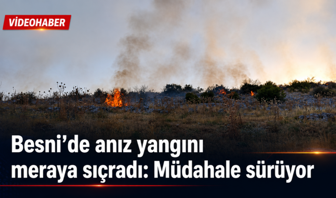 Besni’de anız yangını meraya sıçradı: Müdahale sürüyor Adıyaman’ın Besni ilçesine bağlı Kutluca Köyü’nde henüz bilinmeyen nedenle çıkan