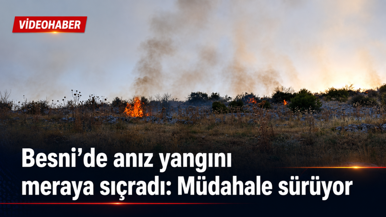 Besni’de anız yangını meraya sıçradı: Müdahale sürüyor