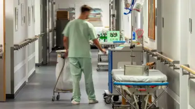 Almanya’da 2025 yılında 86 bin 600 kişinin mesleki yeterliliği tanındı.