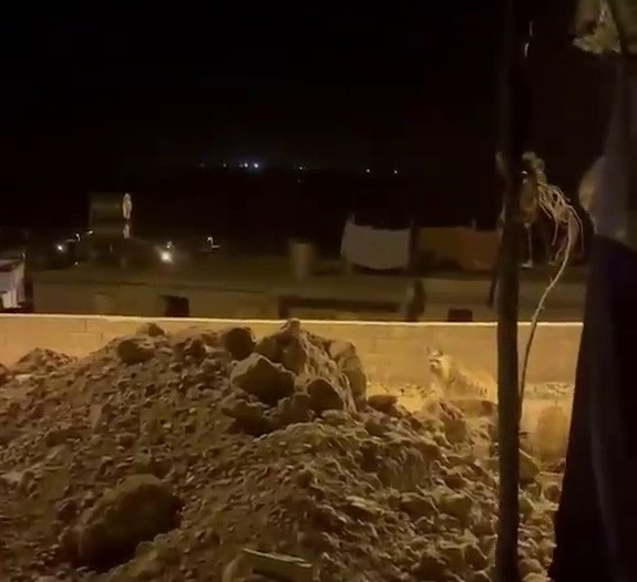 Adıyaman’da, köye inen çizgili sırtlan cep telefonuyla görüntülendi.