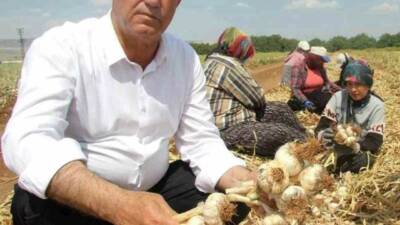 Araban Ziraat Odası ve Sarımsak Üretici Birliği Başkanı Hasan Altun,