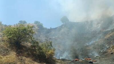 Adıyaman’ın Gölbaşı ilçesinde bulunan katı atık alanında çıkan yangın ormanlık