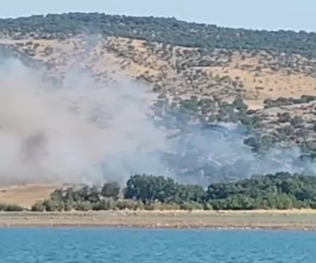 Diyarbakır’ın Silvan ilçesinde ağaçlık alanda çıkan yangın, ekiplerin müdahalesi ile