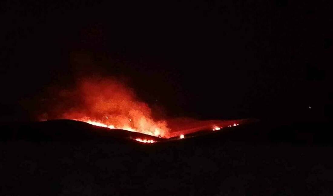 Diyarbakır’ın Silvan ilçesinde çıkan anız ve örtü yangınını söndürmek için