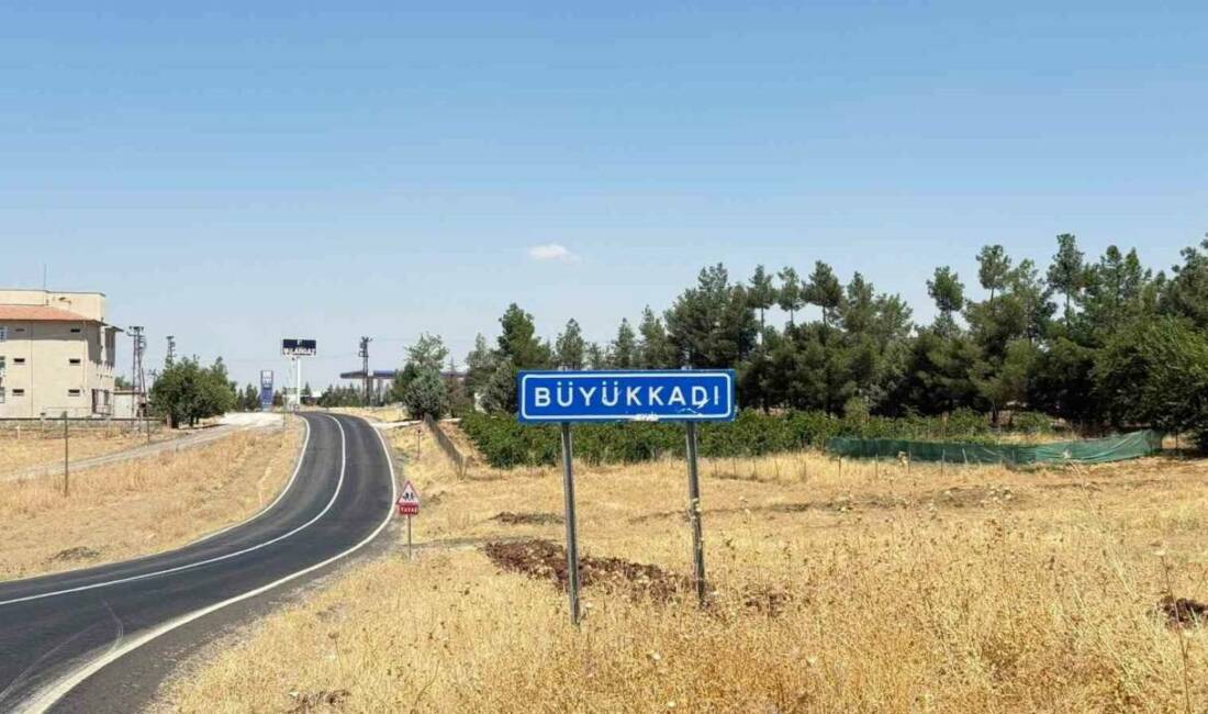 Diyarbakır’ın merkez Sur ilçesinde kedinin ısırdığı çocuk entübe edildi, yapılan