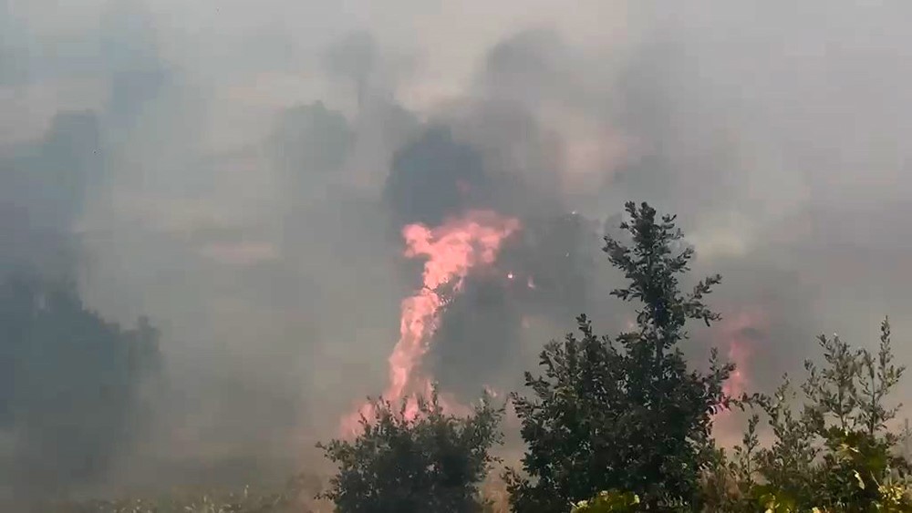 Diyarbakır’ın Lice ilçesinde Kıpçak Mahallesi'nde çıkıp kontrol altına alınan orman