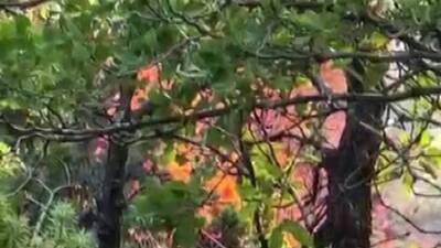 Diyarbakır’ın Dicle ilçesi kırsal Başköy Mahallesi ile Hani’nin kırsal Kuyular