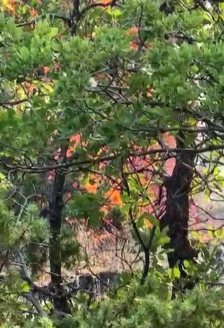 Diyarbakır’ın Dicle ilçesi kırsal Başköy Mahallesi ile Hani’nin kırsal Kuyular