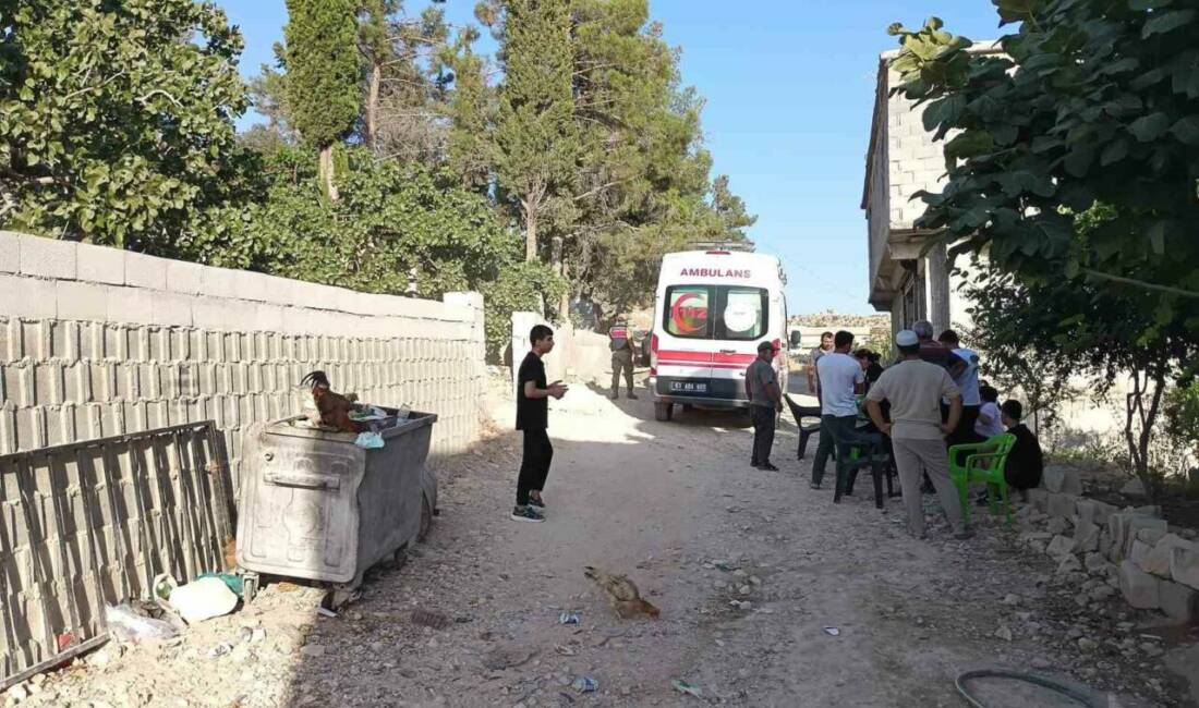 Şanlıurfa’nın Birecik ilçesinde, fotoğraf çekmek isterken dengesini kaybedip Fırat Nehri’ne