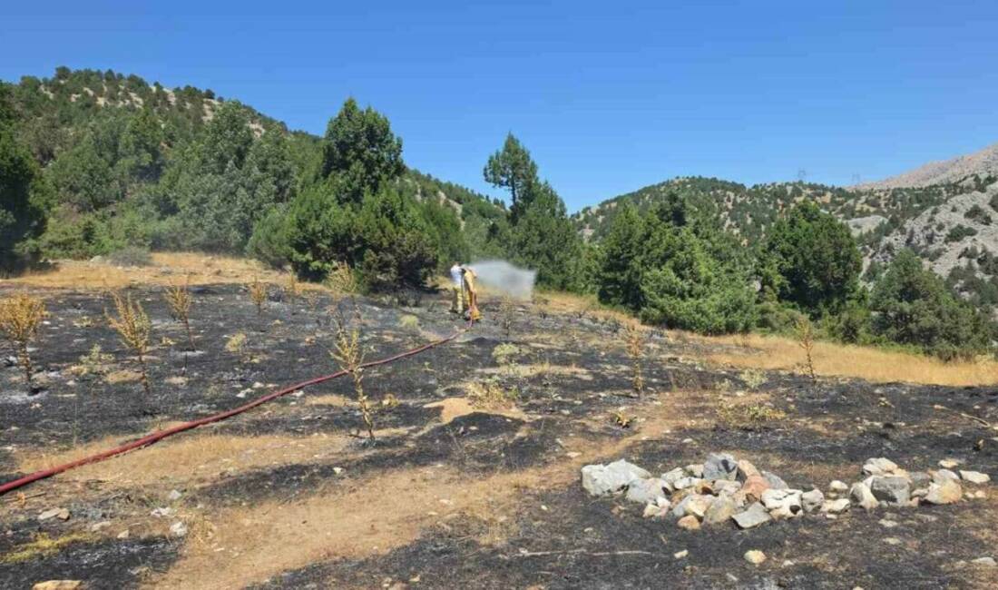 Adıyaman’ın Gölbaşı ilçesinde meydana gelen örtü yangını korkuttu.