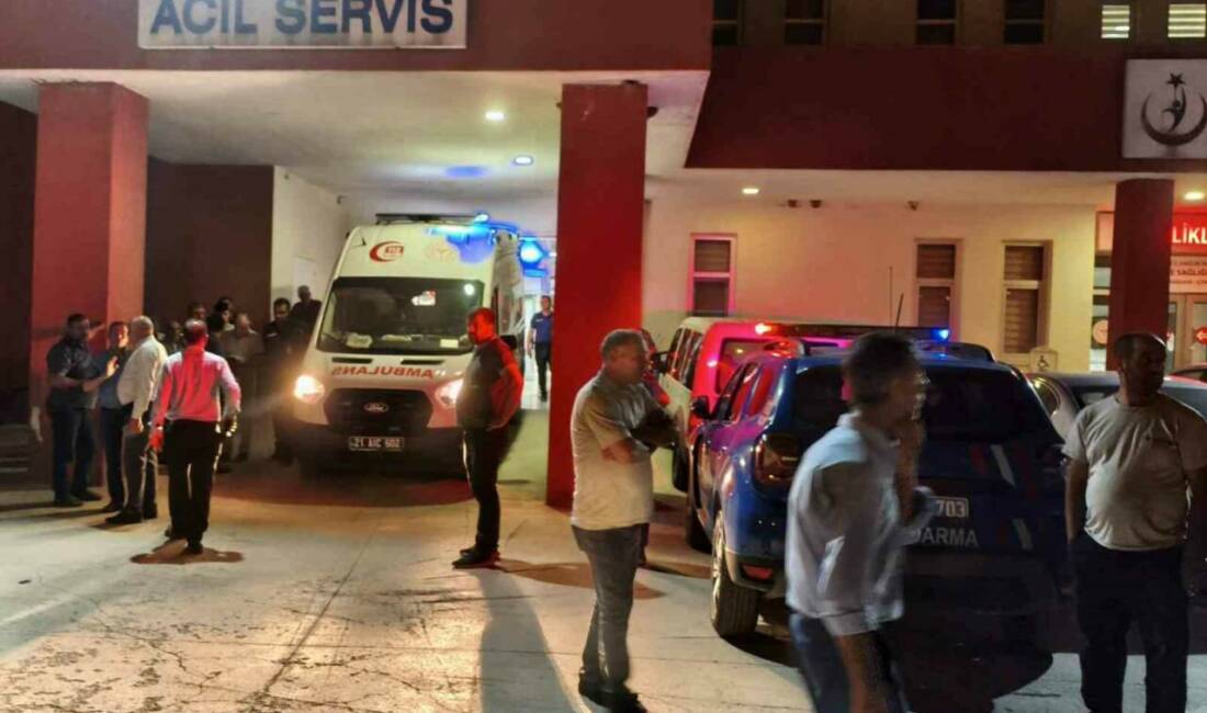 Diyarbakır’ın Çüngüş ilçesinde huysuzlaşan inek, sahibini boynuzlayarak ağır yaraladı.