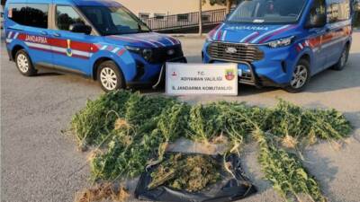 Adıyaman’ın Kahta ilçesinde jandarma ekiplerince düzenlenen operasyonda 1,5 kilogram kubar