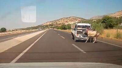 Adıyaman’ın Kahta ilçesinde kamyonetin eşeğe çarpma anları araç kamerasına saniye