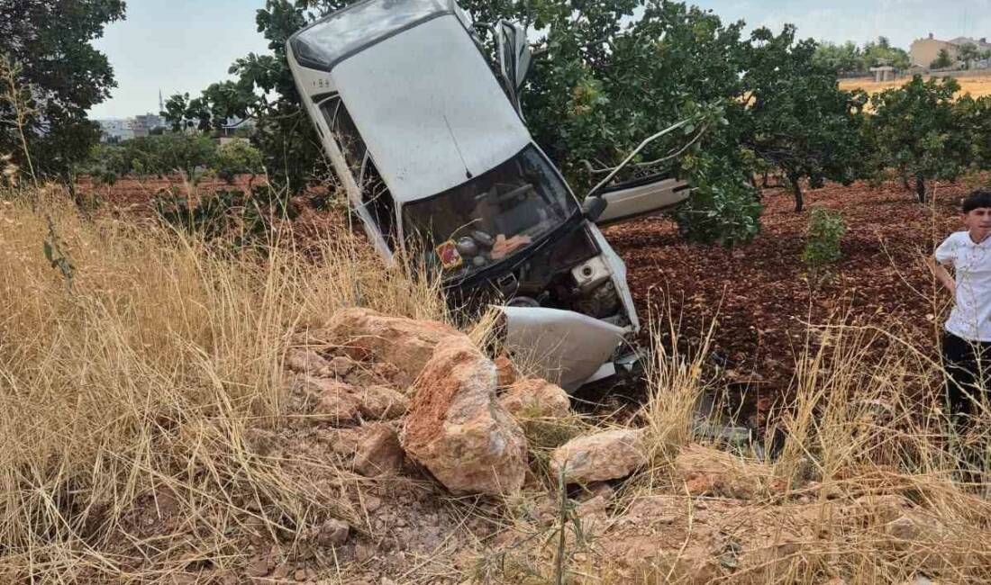 Şanlıurfa’da 2 kişinin yaralandığı trafik kazasında otomobil fıstık ağacında asılı