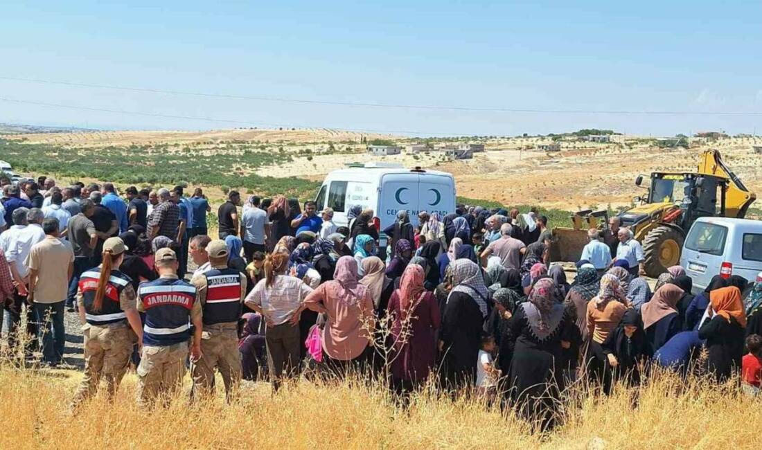 Şanlıurfa'nın Birecik ilçesi ile Suruç ilçesi arasında meydana gelen trafik