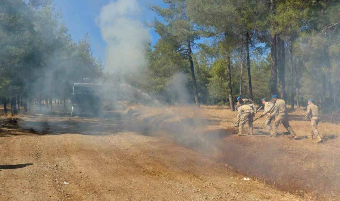 Artan hava sıcaklıklarıyla birlikte orman, anız ve örtü yangınlarına karşı