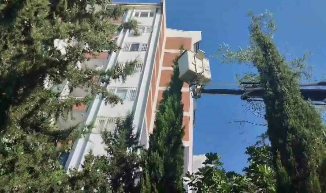 Adıyaman’da çam ağacından inemeyen ve mahsur kalan yavru kedi, itfaiye