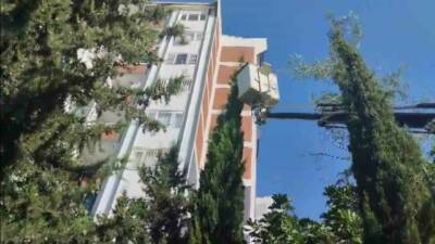 Adıyaman’da çam ağacından inemeyen ve mahsur kalan yavru kedi, itfaiye