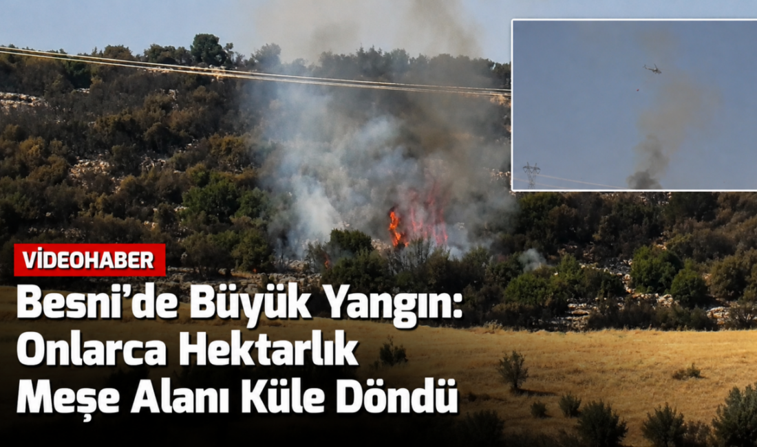 Besni’de Büyük Yangın: Onlarca Hektarlık Meşe Ormanı Küle Döndü Adıyaman’ın Besni ilçesine bağlı Karaağaç ile Yelbastı köyleri arasındaki meşe