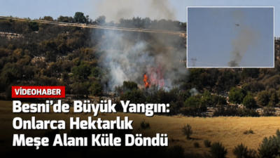 Adıyaman’ın Besni ilçesine bağlı Karaağaç ile Yelbastı köyleri arasındaki meşe