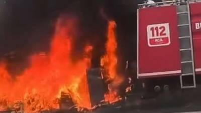 Gaziantep’te ruhsatsız olarak faaliyet gösterdiği iddia edilen petshop’ta çıkan yangında