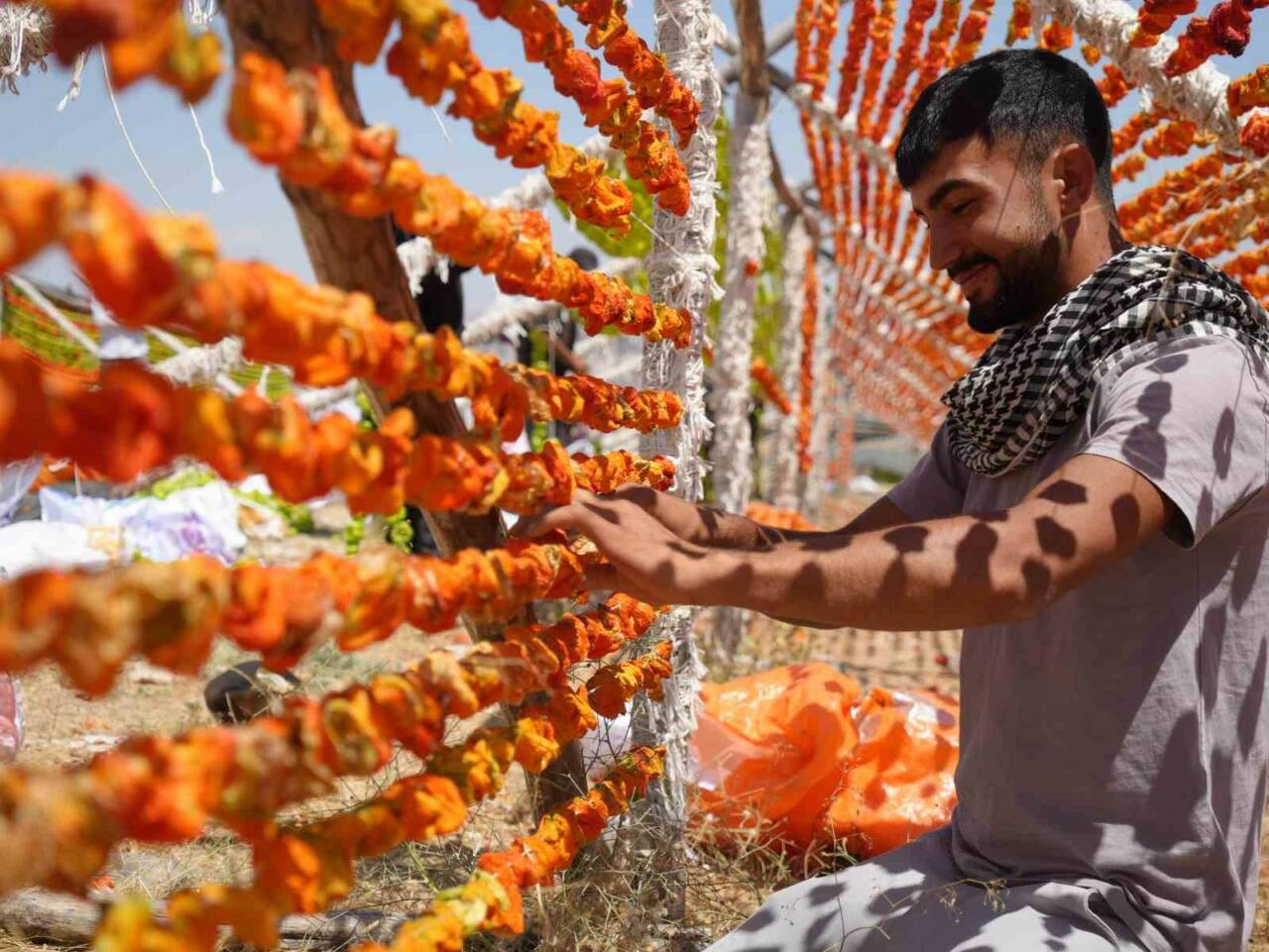 Gaziantep’te kış aylarının vazgeçilmezi kurutmalık sebze sezonu başladı; kadınlar biber,