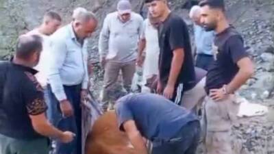 Siirt’in Baykan ilçesine bağlı Ardıçdalı köyünde dağlık alanda mahsur kalan