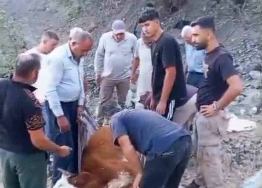 Siirt’in Baykan ilçesine bağlı Ardıçdalı köyünde dağlık alanda mahsur kalan