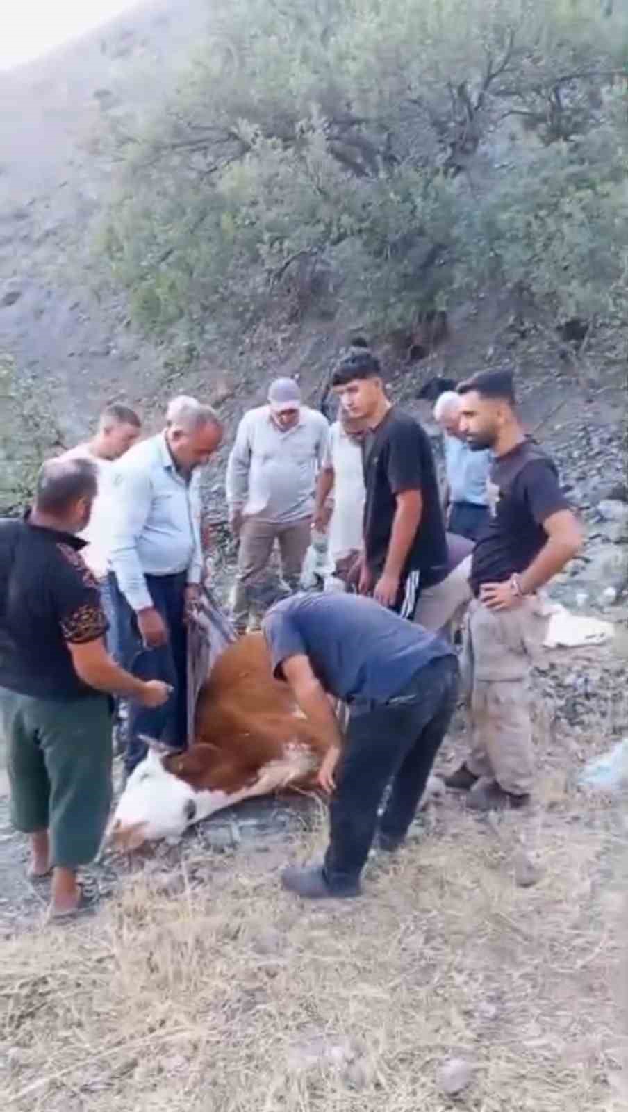 Siirt’in Baykan ilçesine bağlı Ardıçdalı köyünde dağlık alanda mahsur kalan