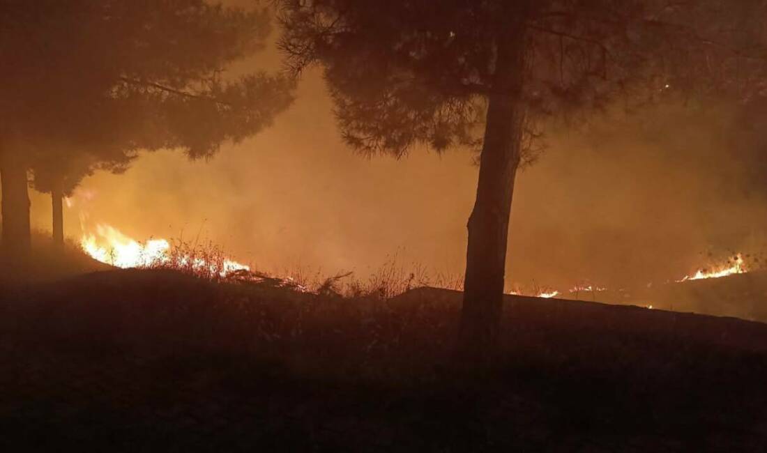 Siirt’in Kurtalan ilçesinde mezarlık alanında çıkan yangın, itfaiye ekiplerinin müdahalesiyle