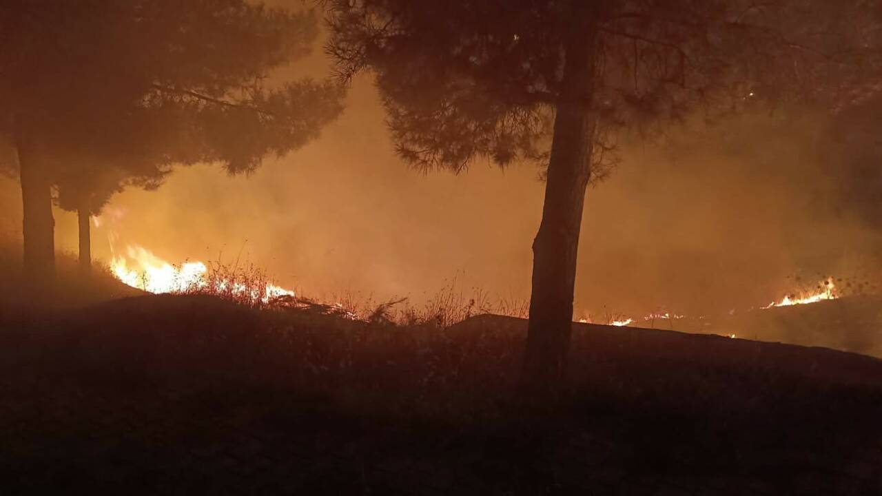 Siirt’te mezarlıkta çıkan yangın itfaiye ekiplerince söndürüldü