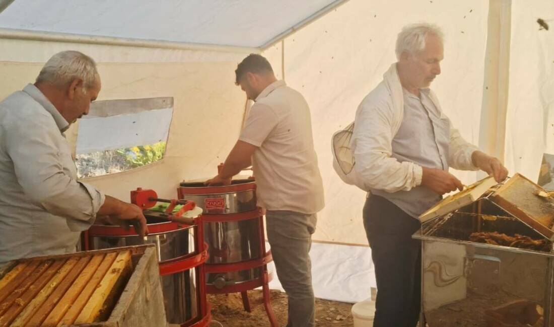 Adıyaman’ın Sincik ilçesinde uzun ve meşakkatli geçen sezonun ardından arıcılar
