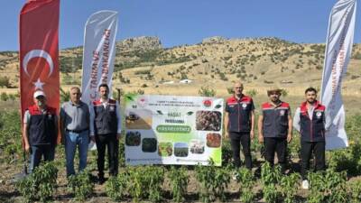 Şırnak’ta tarımsal üretimin artırılması ve atıl durumdaki tarım arazilerinin yeniden