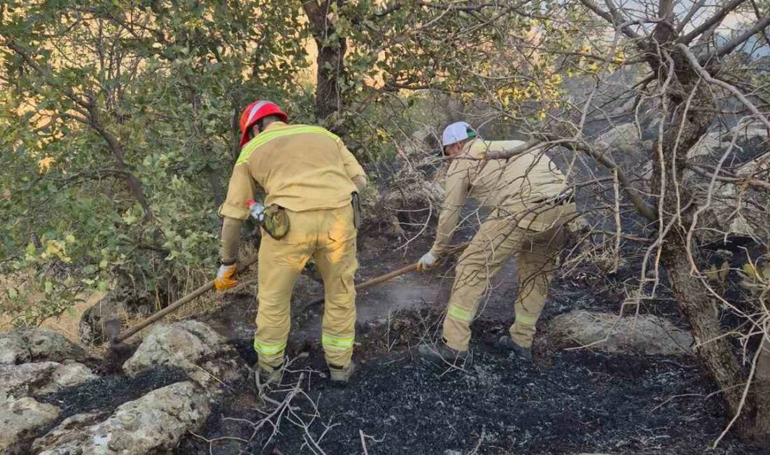 Şirvan’da ormanlık alanda çıkan yangın söndürüldü Siirt’in Şirvan ilçesinde ormanlık alanda çıkan yangın, ekiplerin ve köylülerin