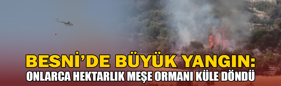 Adıyaman’ın Besni ilçesine bağlı Karaağaç