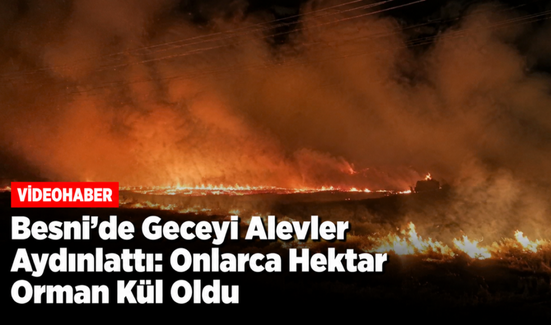 Adıyaman'ın Besni ilçesine bağlı Karaağaç ile Yelbastı köyleri arasındaki meşe