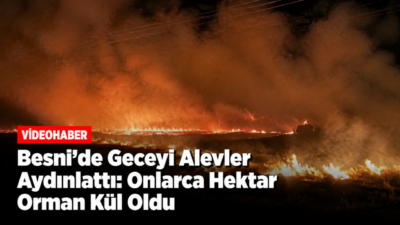 Adıyaman'ın Besni ilçesine bağlı Karaağaç ile Yelbastı köyleri arasındaki meşe