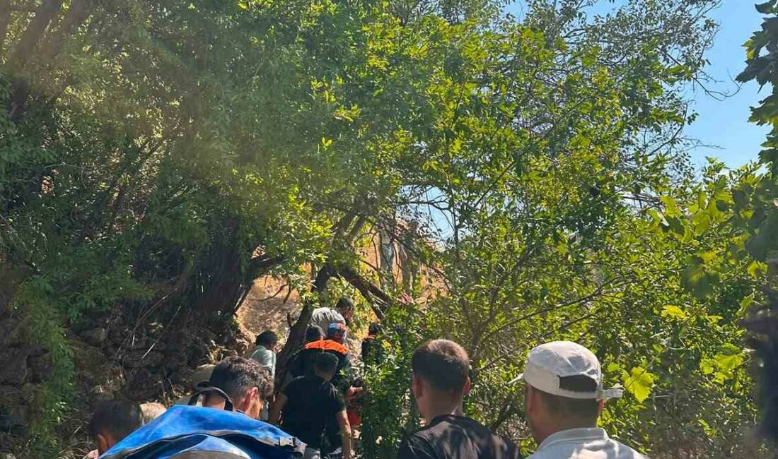 Şırnak’ın Güçlükonak ilçesinde AFAD, UMKE ve jandarma ekipleri, ağaçtan düşerek