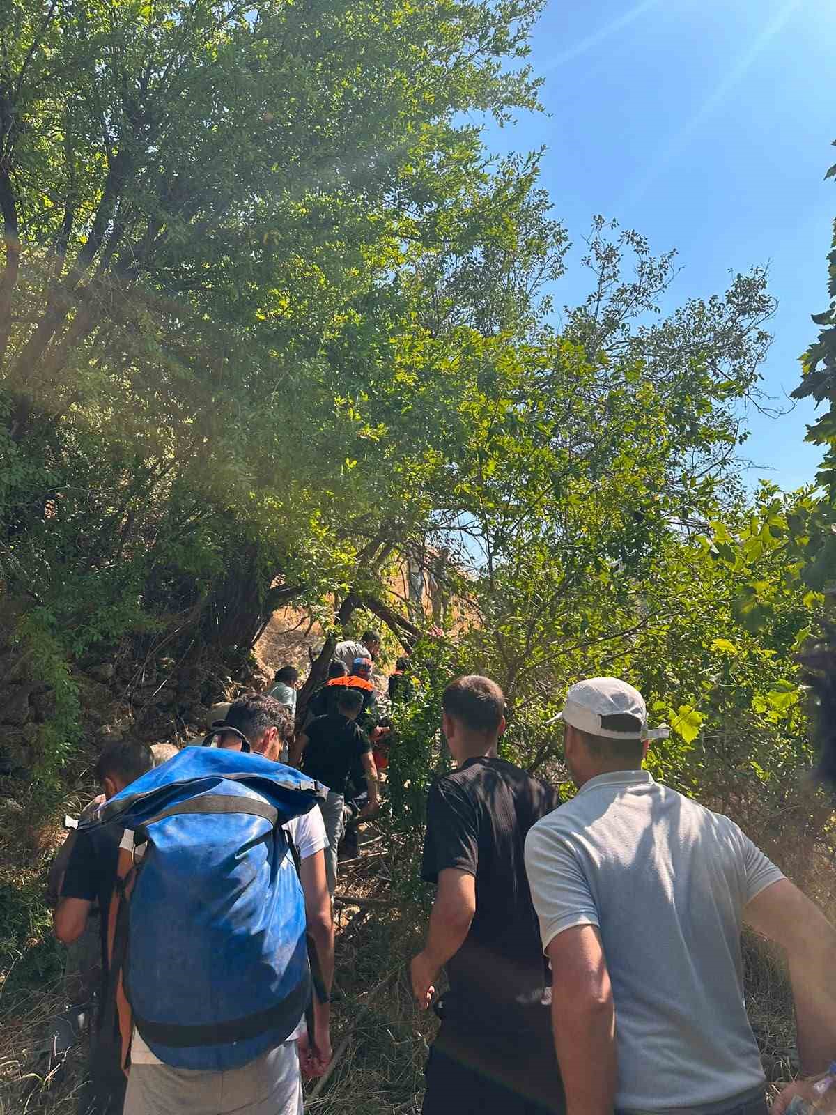 Şırnak’ın Güçlükonak ilçesinde AFAD, UMKE ve jandarma ekipleri, ağaçtan düşerek