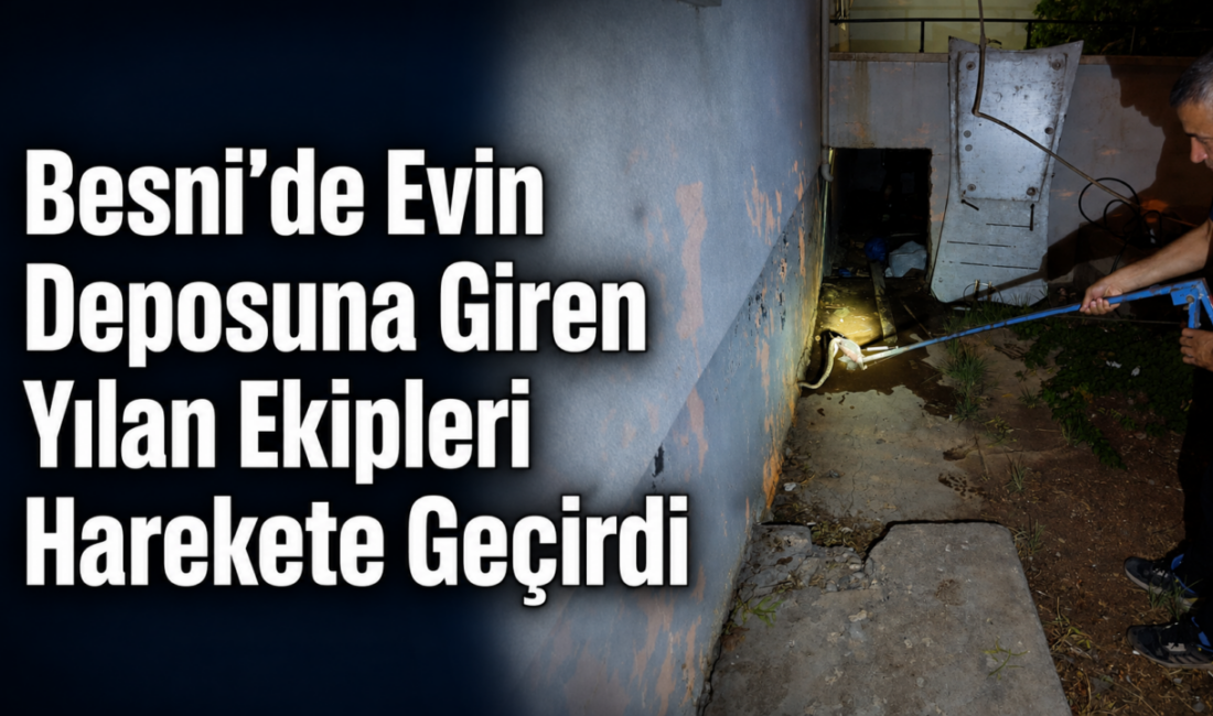 Besni’de bir evin depo bölümüne giren yılan, itfaiye ekipleri tarafından